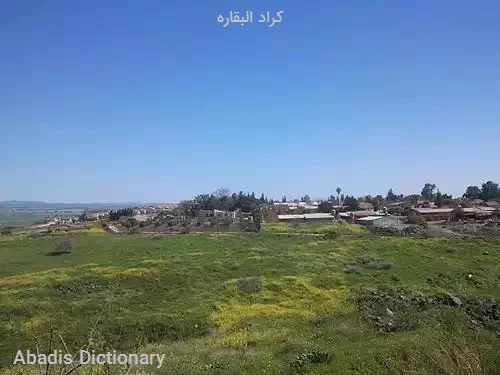 کراد البقاره
